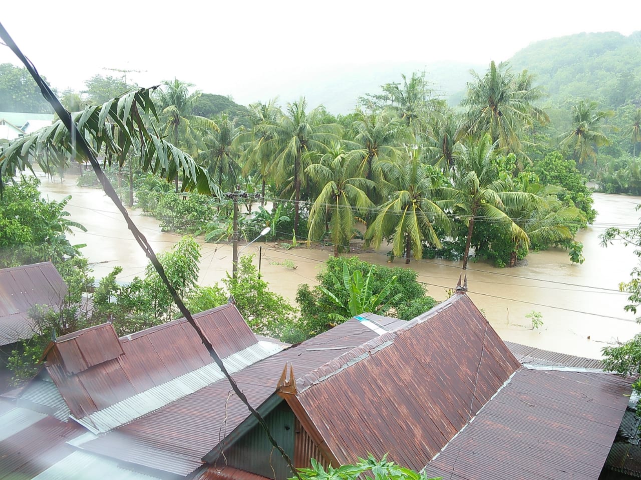 IMG-20200112-WA0006
