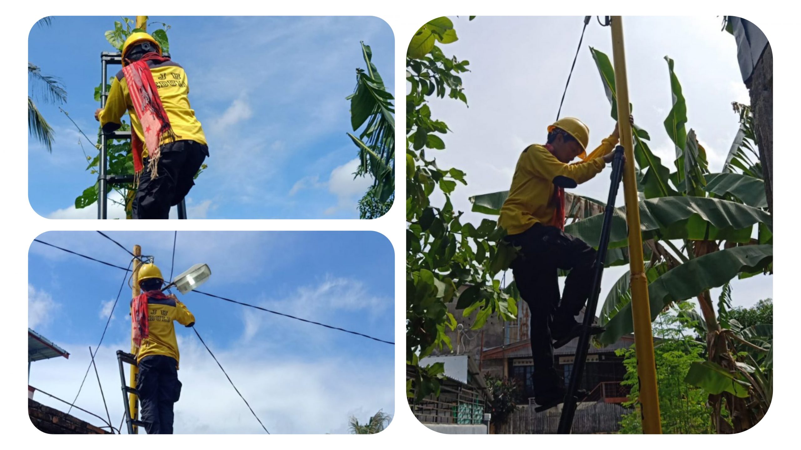 GridArt_20220127_144914297