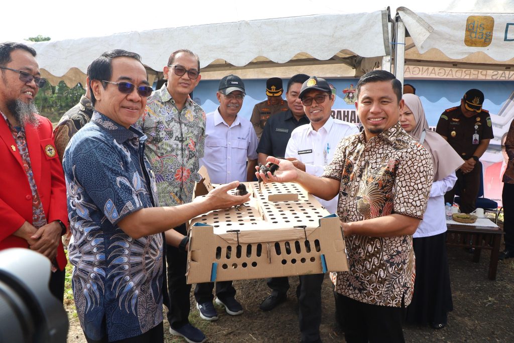 Unhas Serahkan Bantuan Benih Jagung dan DOC Ayam, Pemkot Parepare Tegaskan Komitmen Ketahanan Pangan