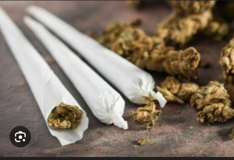 Screenshot_2025-10-26-09-54-45-989_com.google.android.googlequicksearchbox-edit