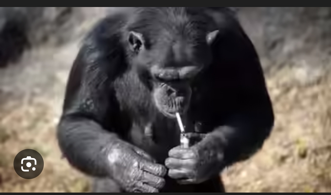 Screenshot_2025-10-26-15-23-48-348_com.google.android.googlequicksearchbox-edit