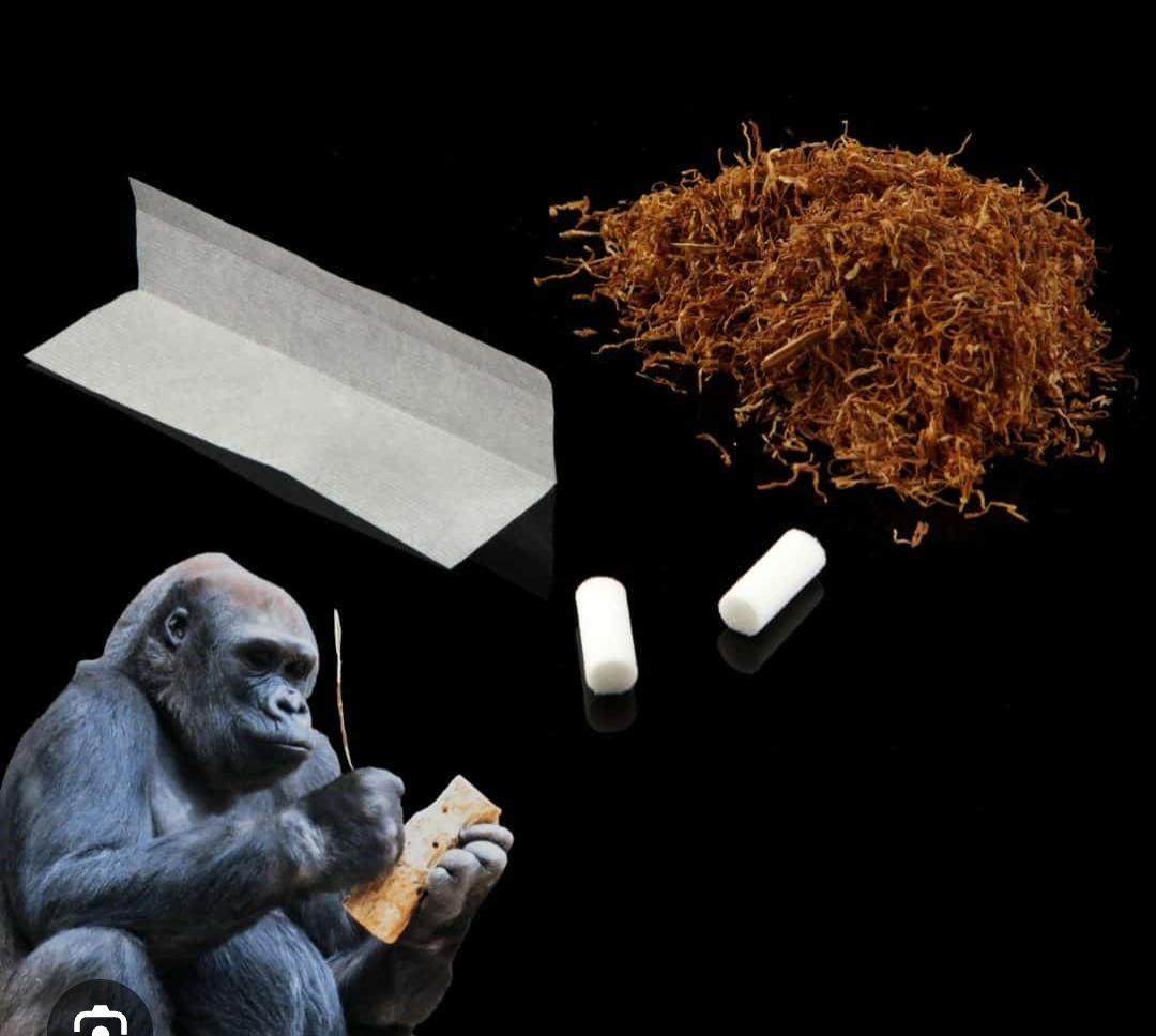 Screenshot_2025-10-26-20-16-11-157_com.google.android.googlequicksearchbox-edit