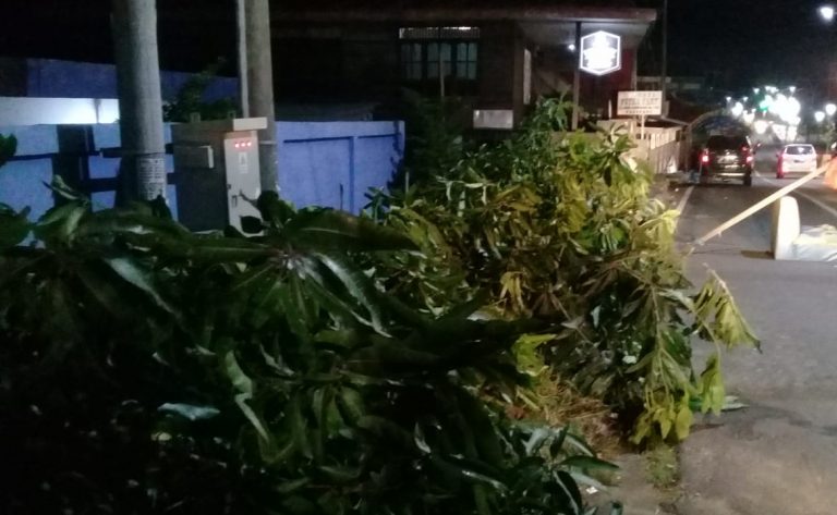 WhatsApp Image 2019-04-25 at 20.00.40