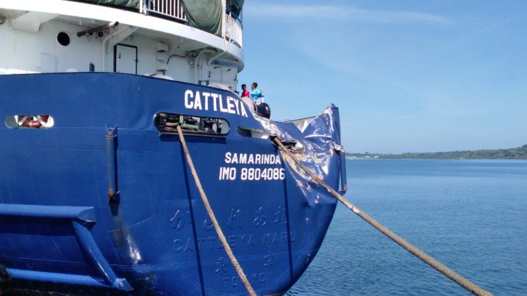 WhatsApp Image 2019-05-07 at 08.51.06