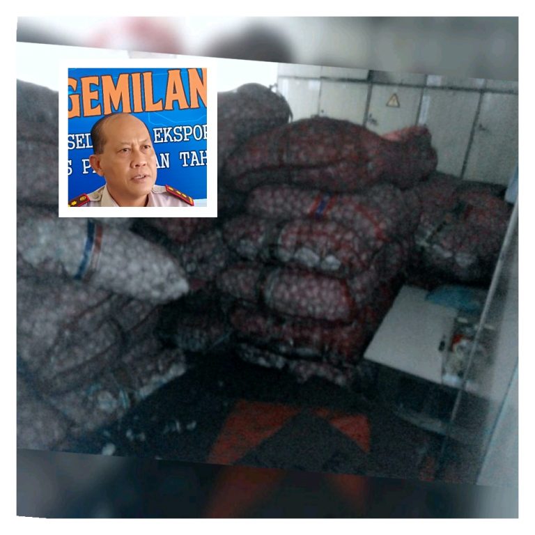 WhatsApp Image 2019-05-07 at 22.56.35