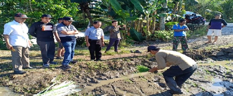 WhatsApp Image 2019-05-18 at 12.37.50