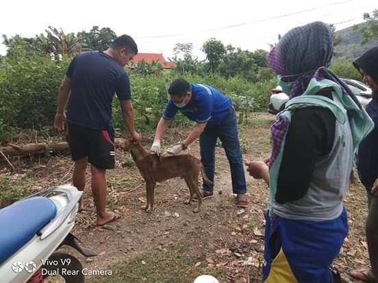 FB_IMG_1562044699940