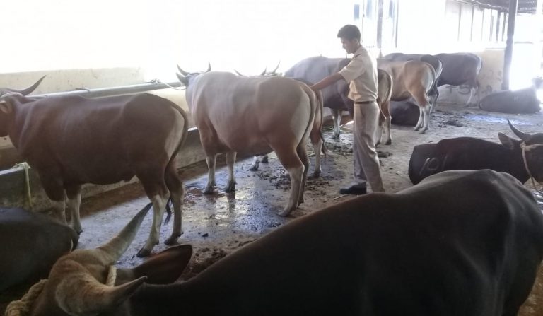 WhatsApp Image 2019-07-15 at 11.01.55