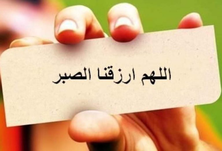 WhatsApp Image 2020-05-01 at 14.15.02