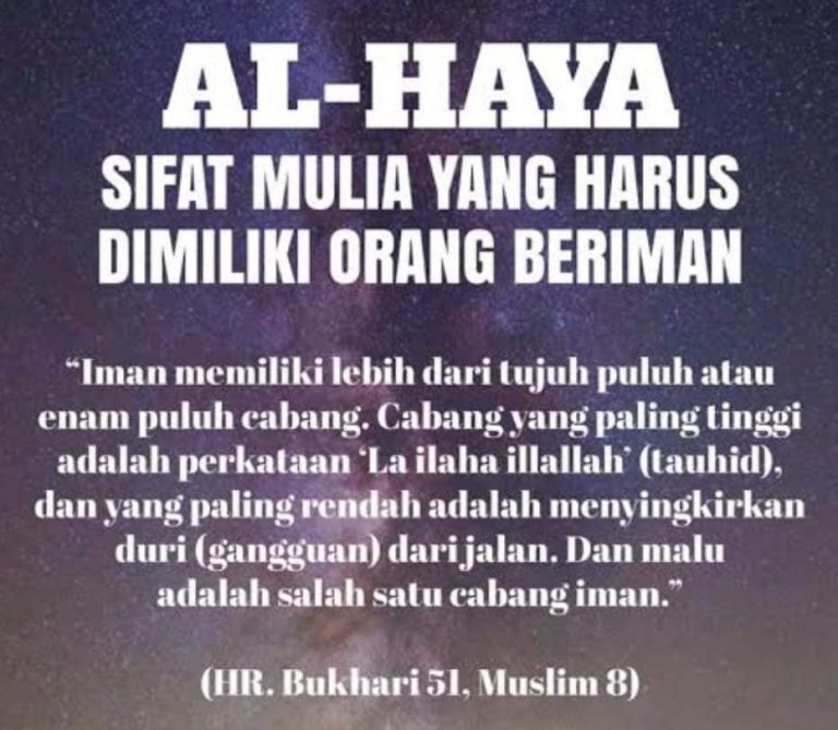 WhatsApp Image 2020-05-01 at 14.16.05