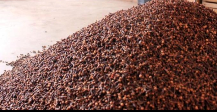 WhatsApp Image 2020-06-04 at 18.42.45