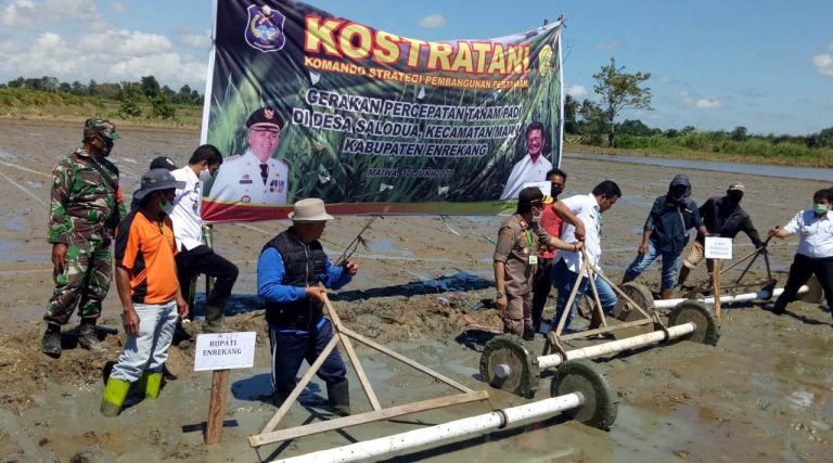 WhatsApp Image 2020-06-10 at 16.06.33