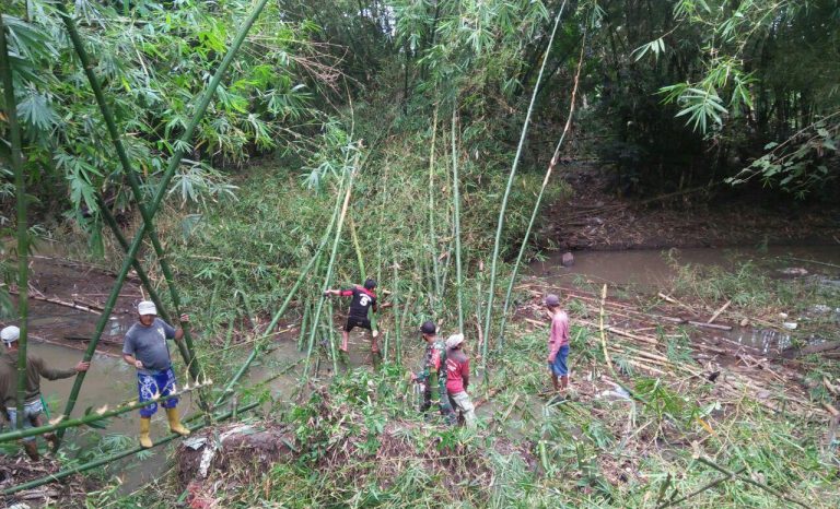 WhatsApp Image 2020-07-03 at 12.21.57