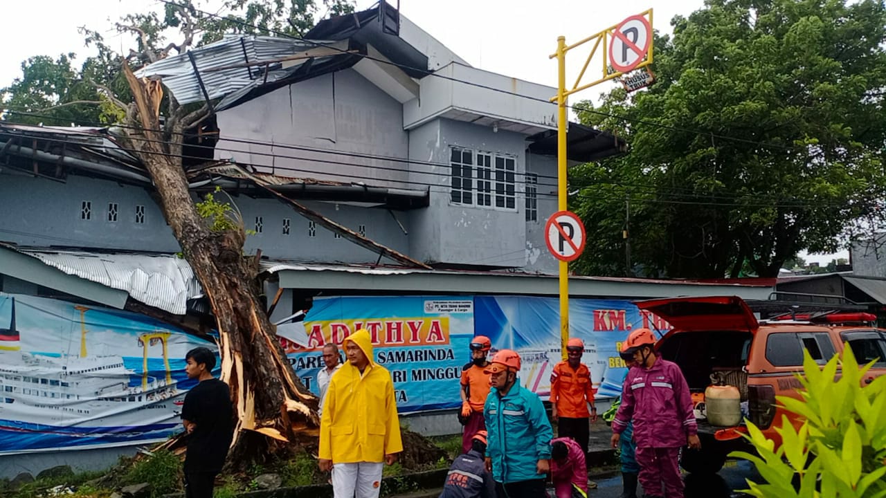 WhatsApp Image 2021-04-02 at 08.33.09