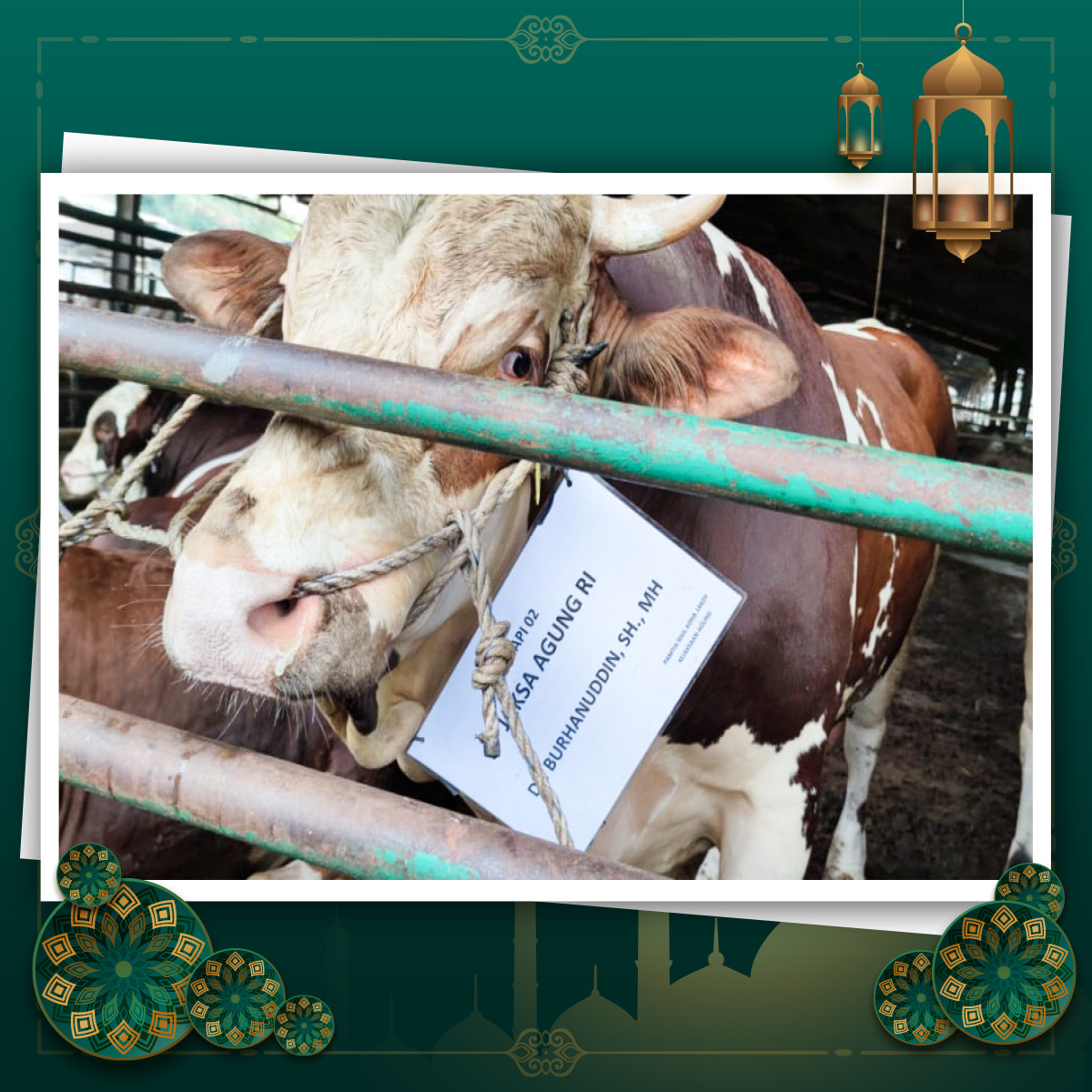 WhatsApp Image 2021-07-20 at 16.39.40