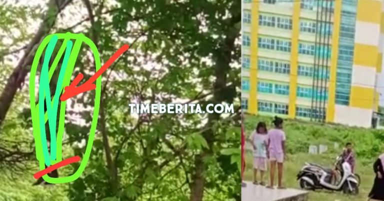 WhatsApp Image 2023-05-16 at 21.27.45