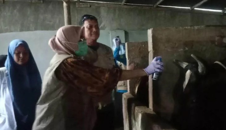 Jelang Idhuladha, Pemkot Parepare Lakukan Pemeriksaan Hewan Kurban